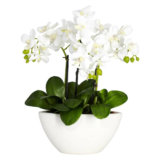 15&#x22; Phalaenopsis Arrangement in White Bowl Vase